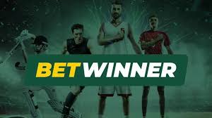 Experience the Thrill of BetWinner Live Betting Experience the Thrill of BetWinner Live Betting
