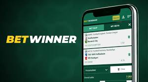 Download the BetWinner App Your Gateway to Winning