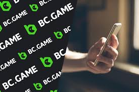 Exploring the BC.Game Platform Your Gateway to Online Gaming